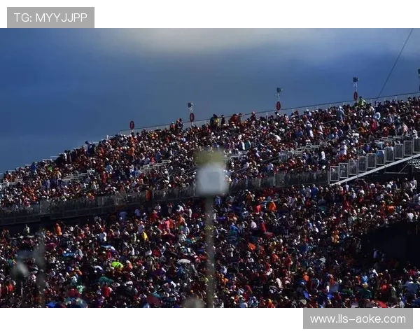 F1中国粉丝数量超2.21亿,年轻化与女性群体增长显著 F1中国粉丝数量超2.21亿,年轻化与女性群体增长显著